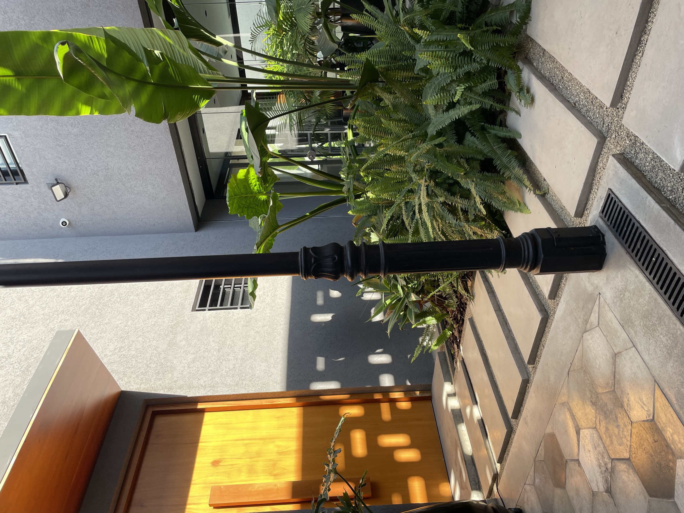 Patio de acceso con vegetación y puerta de madera